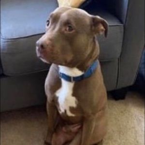 Meet your Posher, Charles